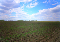 ����������������� ��������