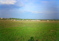 ����������������� ��������